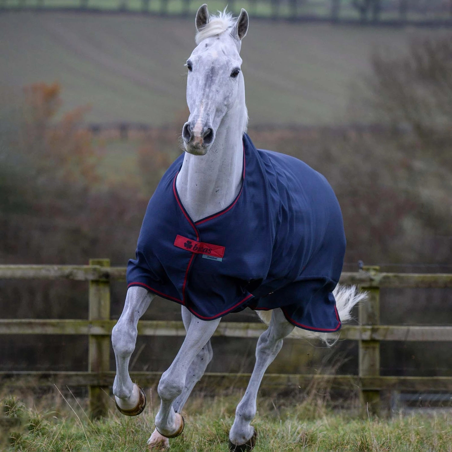 Bucas Freedom Turnout Light Regendecke, 0g 9 Bucas Freedom Turnout Light Regendecke, 0g – Bild 7