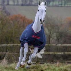 Bucas Freedom Turnout Light Regendecke, 0g 19 Bucas Freedom Turnout Light Regendecke, 0g -Pferdedecken Store 300455 GDG 3