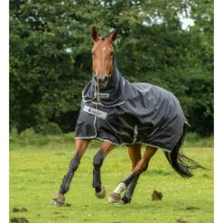 Bucas Smartex Combi Neck Halsteil 300 -Pferdedecken Store 300493 BL 3