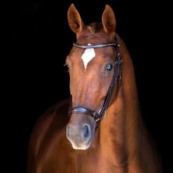 Schockemöhle Copenhagen Trense 9 Schockemöhle Copenhagen Trense -Pferdedecken Store 306265 DBR SI 3