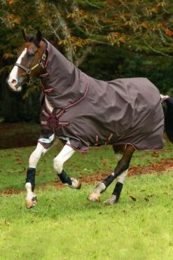 Horseware Amigo Halsteil, 0g -Pferdedecken Store 307509 BR RE GO 2