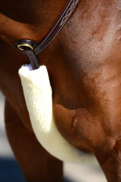 Kentucky Horsewear Lammfell Brustriemen-Schutz -Pferdedecken Store 313003 NAT 1