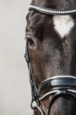 Schockemöhle Malibu Dressur-Trense Mit Kristalldetail 13 Schockemöhle Malibu Dressur-Trense Mit Kristalldetail -Pferdedecken Store 313775 BL PTG 3