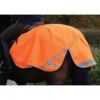Weatherbeeta 300D Reflective Trainingsdecke 2 Weatherbeeta 300D Reflective Trainingsdecke -Pferdedecken Store 314950 OR 1