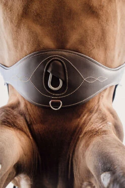 Kentucky Horsewear Anatomischer Gurt -Pferdedecken Store 316147 BR 3