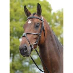 Kincade Grackle II Trense