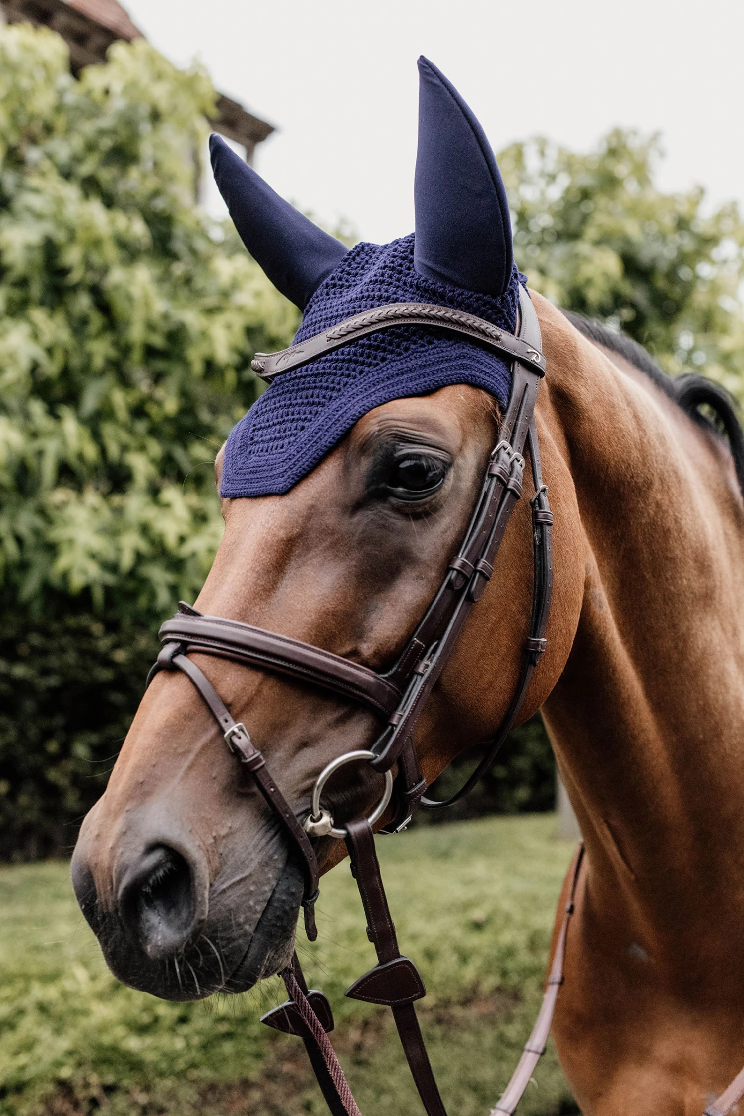 Kentucky Horsewear Wellington Fliegenhaube Schalldicht 11 Kentucky Horsewear Wellington Fliegenhaube Schalldicht – Bild 9