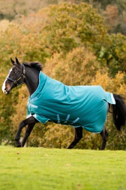 Horseware Amigo Bravo 12 Regendecke Mit Hohem Hals, 0g -Pferdedecken Store 320364 STGR 01