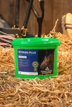 Global Herbs Veteran Plus 1kg 8 Global Herbs Veteran Plus 1kg -Pferdedecken Store 321488 3