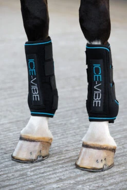 Horseware Ice-Vibe Gamaschen