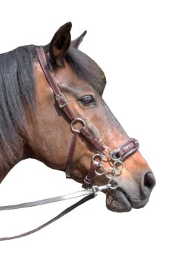 FRA Aram Hackamore (System 2) Leather, Jaw Straps, W/ Scissors -Pferdedecken Store 322944 DBR 1