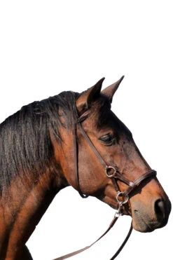 FRA Pardoes Sidepull (System 3) Leder Mit Anti Slip Zügeln -Pferdedecken Store 322960 BR 2