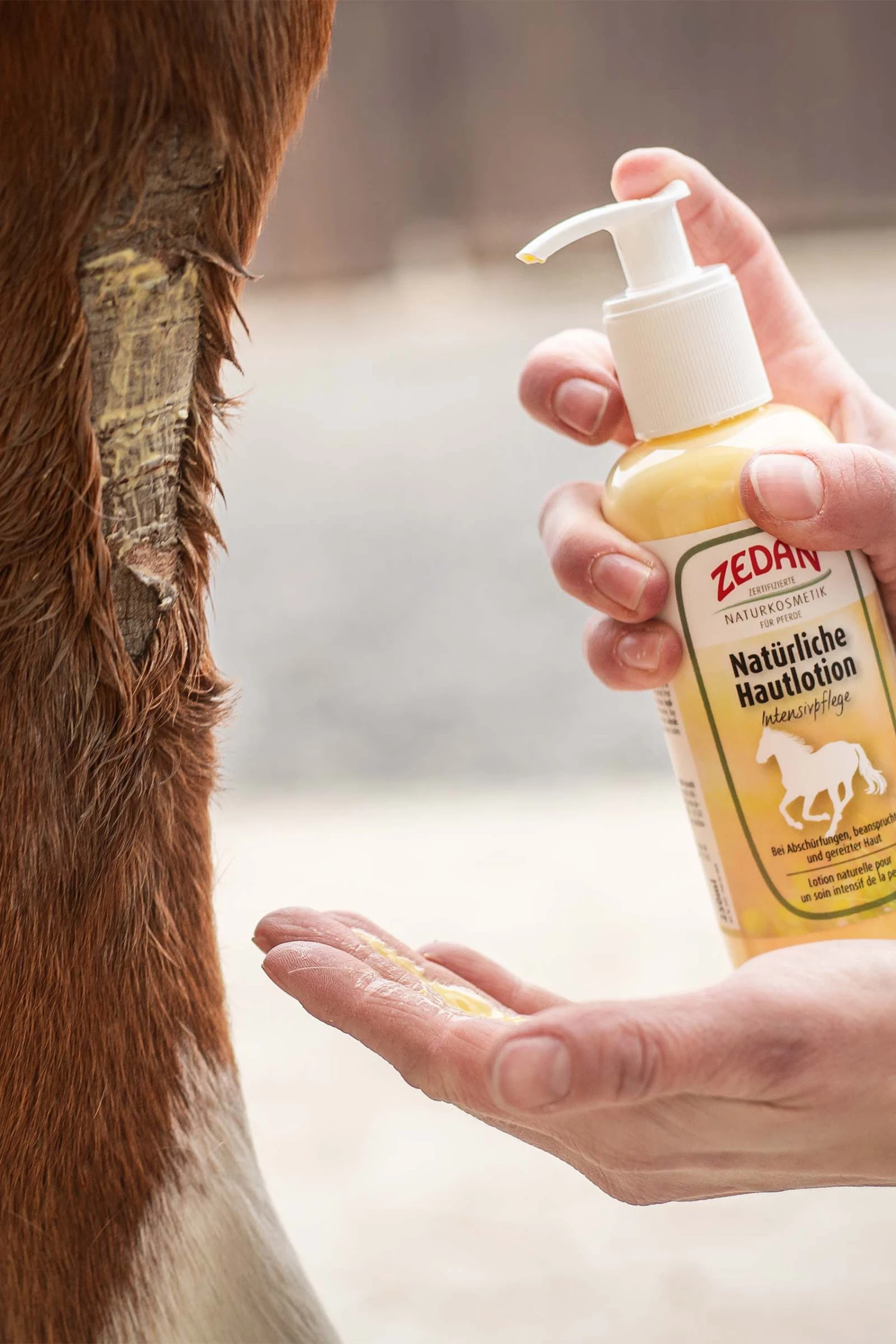 Zedan Natürliche Hautlotion Intensivpflege, Haut, 250ml 4 Zedan Natürliche Hautlotion Intensivpflege, Haut, 250ml – Bild 2