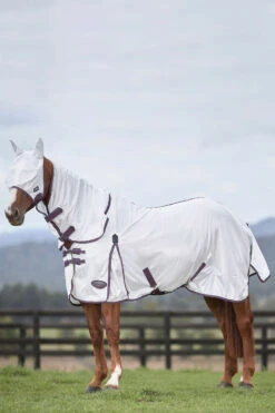Weatherbeeta Comfitec Essential Mesh II Fliegendecke Mit Festem Halsteil -Pferdedecken Store 329554 WH DRE 1