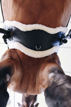 Kentucky Horsewear Lederkurzgurt Sheepskin Dressage -Pferdedecken Store 329961 BL 5