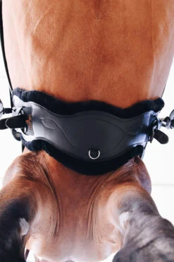 Kentucky Horsewear Lederkurzgurt Sheepskin Dressage -Pferdedecken Store 329961 BL 6