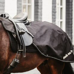 Back On Track Sammy Ausreitdecke, 50g -Pferdedecken Store 331628 BL 4