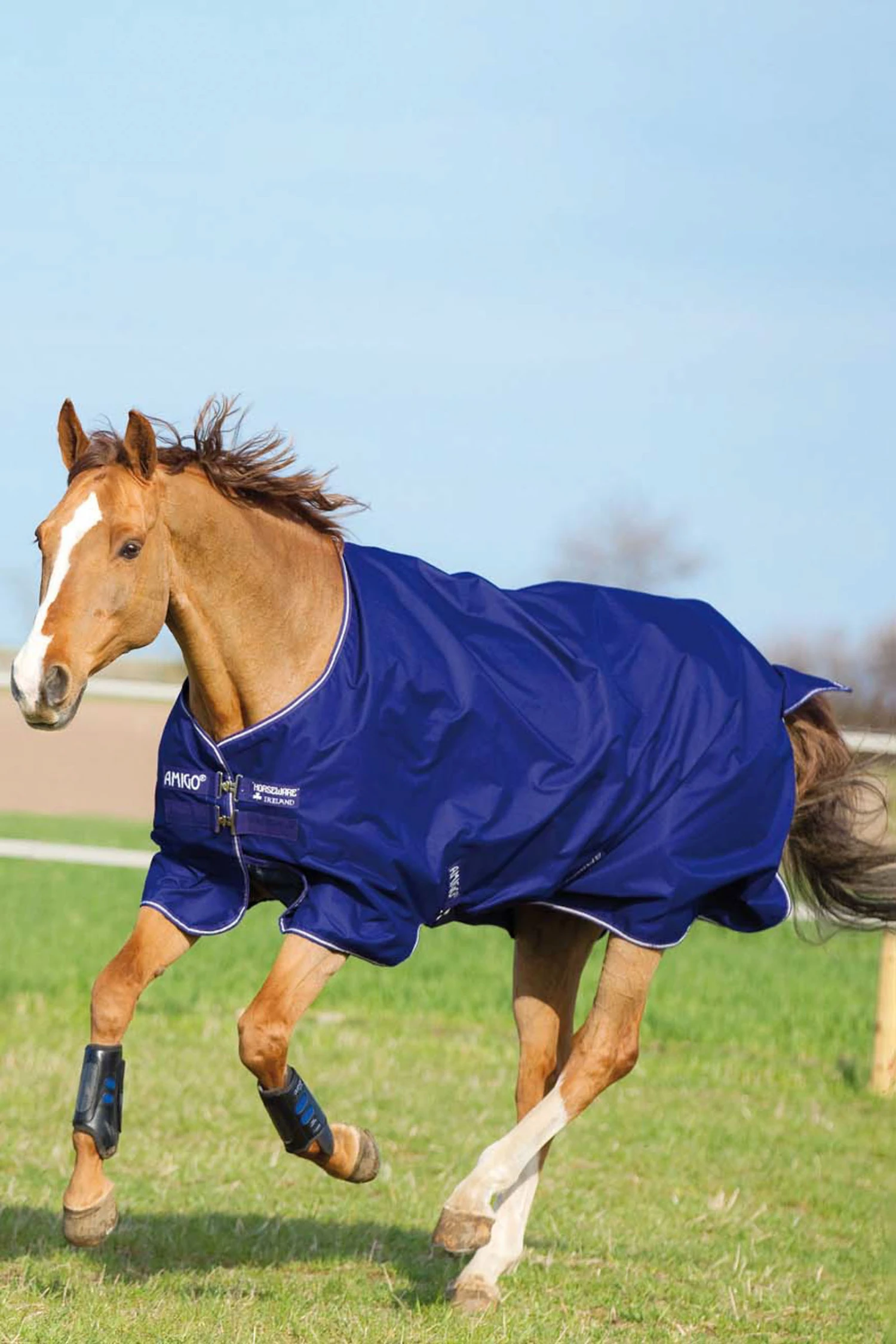 Horseware Amigo Hero 900 T/O Med Winterdecke, 200g 3 Horseware Amigo Hero 900 T/O Med Winterdecke, 200g