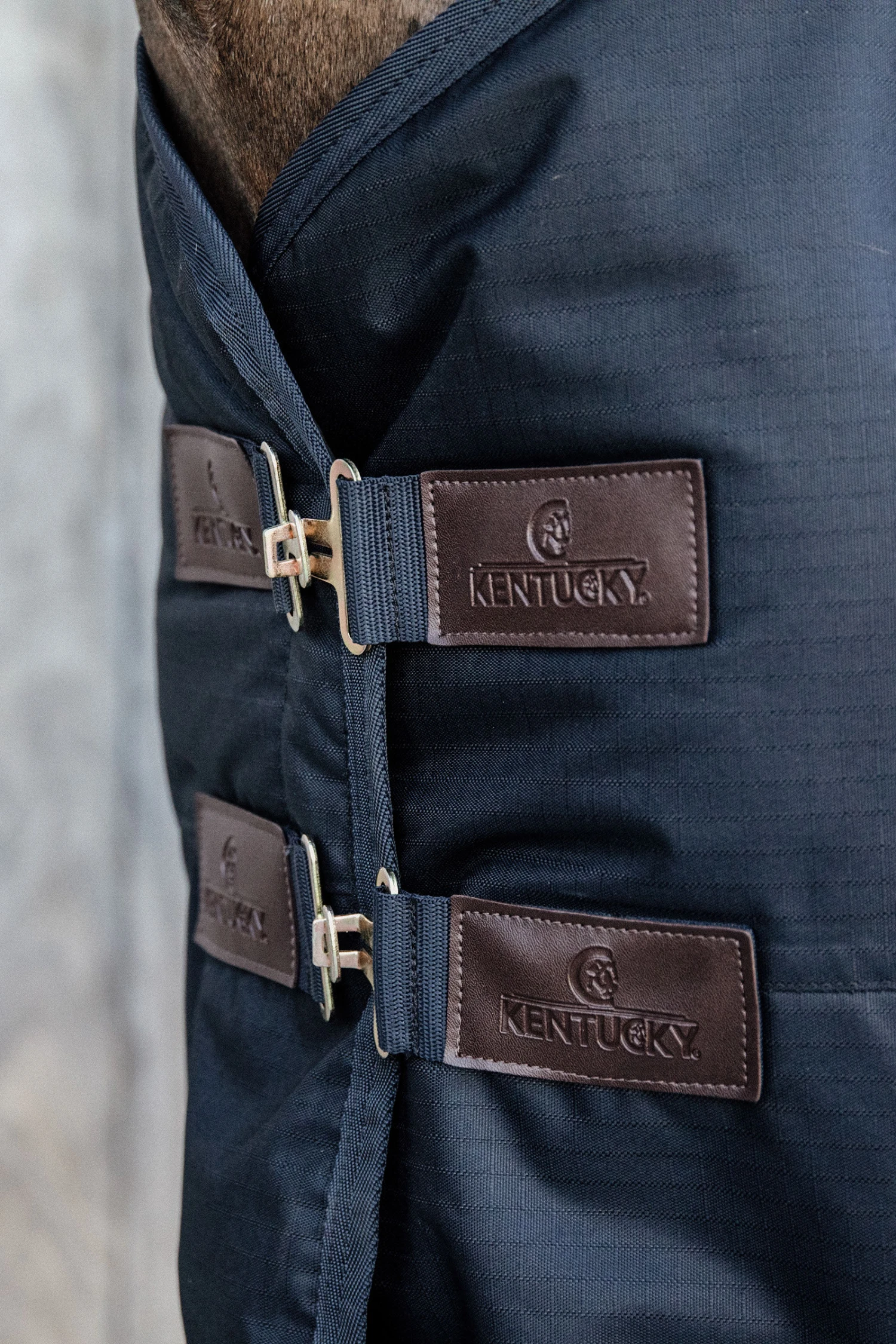 Kentucky Horsewear All Weather Waterproof Classic, Regendecke, 150g 6 Kentucky Horsewear All Weather Waterproof Classic, Regendecke, 150g – Bild 4