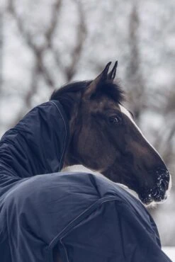 Kentucky Horsewear All Weather Waterproof Classic Winterdecke, 300g -Pferdedecken Store 333289 DB 6