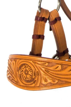 F.R.A. Diego Gebisslose Trense -Pferdedecken Store 334265 NAT 9