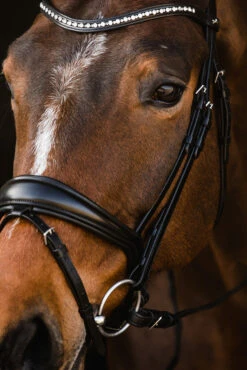 Schockemöhle Brantford Trense -Pferdedecken Store 335283 BL PTG 7