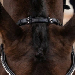 Schockemöhle Equitus Rho Genickstück -Pferdedecken Store 335287 BL SI 4