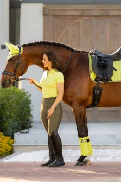 LeMieux Loire Satin Bandagen -Pferdedecken Store 338080 SLGR 02