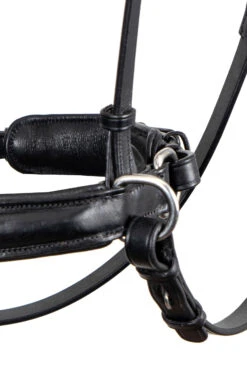 F.R.A. Alizée Mistral Gebissloser Zaum -Pferdedecken Store 340183 BL BL 3