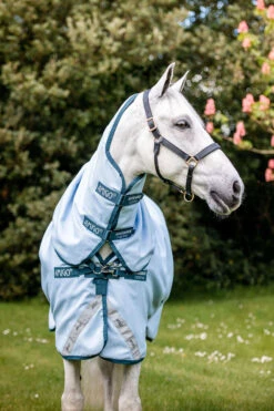 Horseware Amigo Plant Dye Weidedecke, 50g -Pferdedecken Store 340224 B DB 3