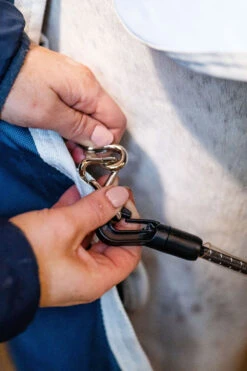 Horseware AmEco Liner, 100g -Pferdedecken Store 340947 TE G 7