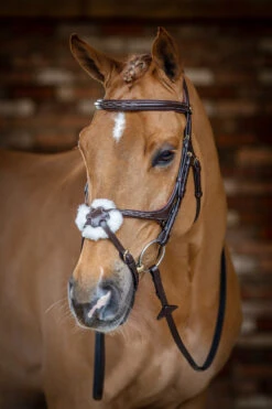 LeMieux Mexikanische Trense -Pferdedecken Store 342214 HVBR 1