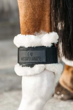 Kentucky Horsewear Vegane Lammfell Streichkappen Für Jungpferde 18 Kentucky Horsewear Vegane Lammfell Streichkappen Für Jungpferde -Pferdedecken Store 342512 BL 3