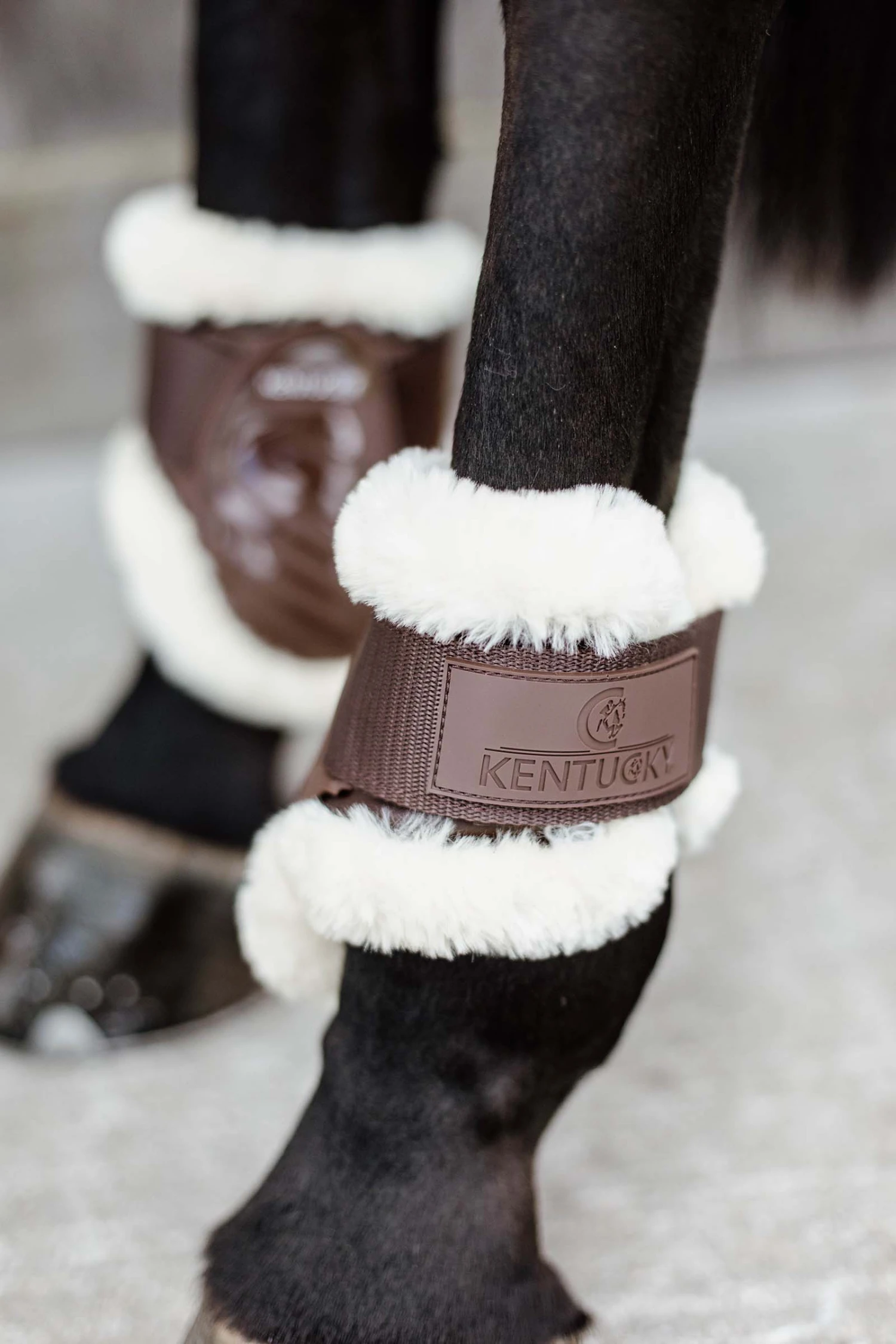 Kentucky Horsewear Vegane Lammfell Streichkappen Für Jungpferde 9 Kentucky Horsewear Vegane Lammfell Streichkappen Für Jungpferde – Bild 7