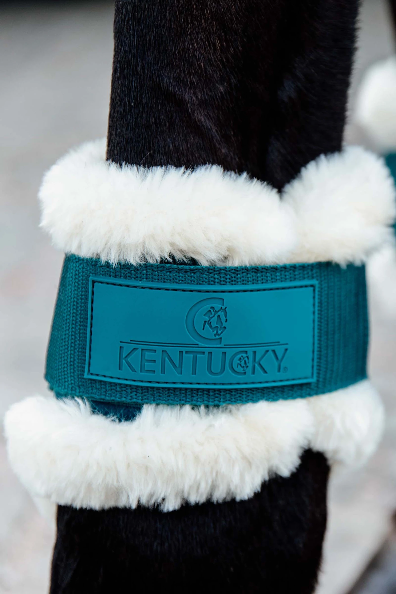 Kentucky Horsewear Vegane Lammfell Streichkappen Für Jungpferde 12 Kentucky Horsewear Vegane Lammfell Streichkappen Für Jungpferde – Bild 10