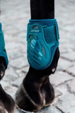 Kentucky Horsewear Jungpferde Streichkappe -Pferdedecken Store 342513 EGR 2