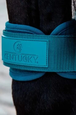 Kentucky Horsewear Jungpferde Streichkappe -Pferdedecken Store 342513 EGR 3