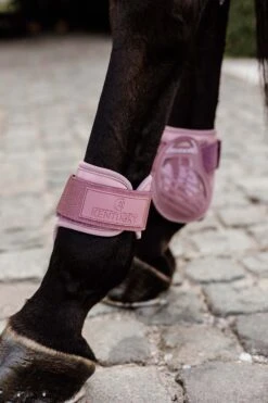 Kentucky Horsewear Jungpferde Streichkappe -Pferdedecken Store 342513 ORPI 3