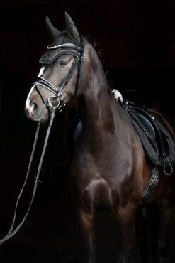 Eskadron Essence 22/23 Glitter Mesh Sport Fliegenhaube -Pferdedecken Store 342557 DOGR 2