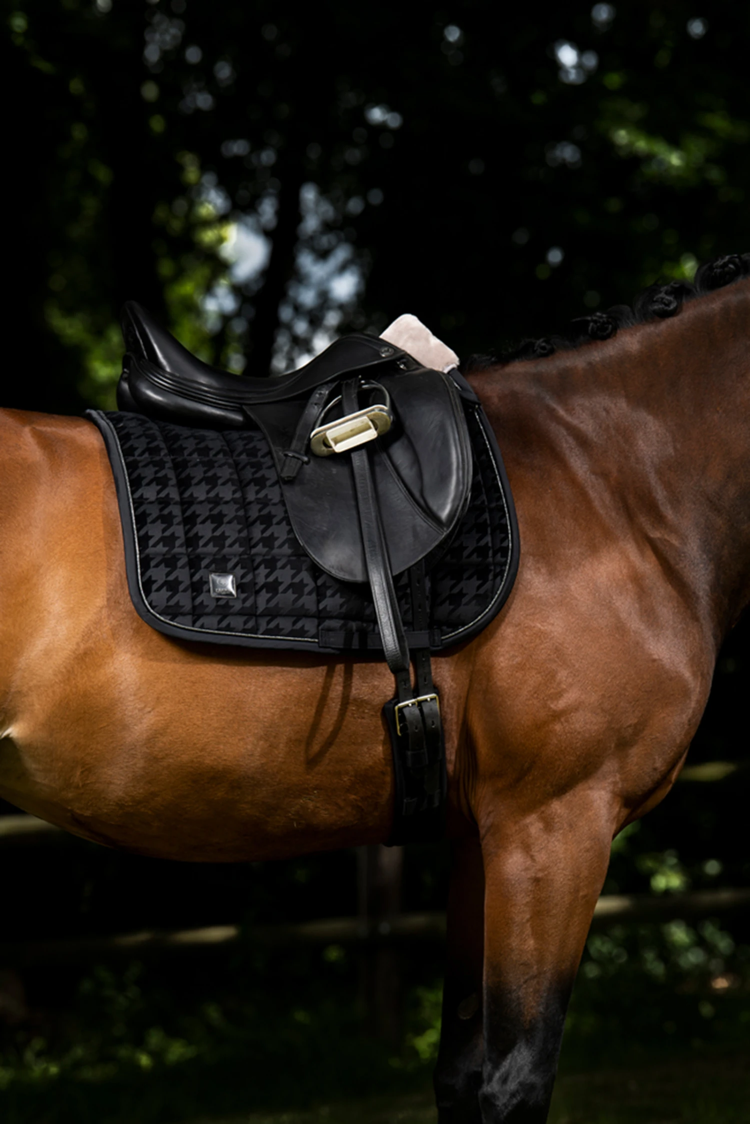 Eskadron Essence 22/23 Velvet Stamp Dressurschabracke 4 Eskadron Essence 22/23 Velvet Stamp Dressurschabracke – Bild 2