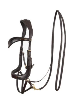 F.R.A. Glory Gebisslose Trense (System 4) Kinn Gekreuzt -Pferdedecken Store 343445 BR 2