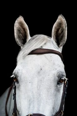 Horseware Rambo Micklem 2 Multi Trense -Pferdedecken Store 345014 DBR 02