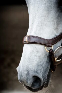 Horseware Rambo Micklem 2 Multi Trense -Pferdedecken Store 345014 DBR 04