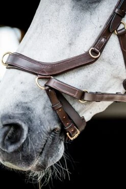 Horseware Rambo Micklem 2 Multi Trense -Pferdedecken Store 345014 DBR 05