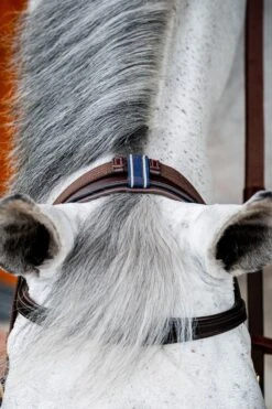 Horseware Rambo Micklem 2 Multi Trense -Pferdedecken Store 345014 DBR 06