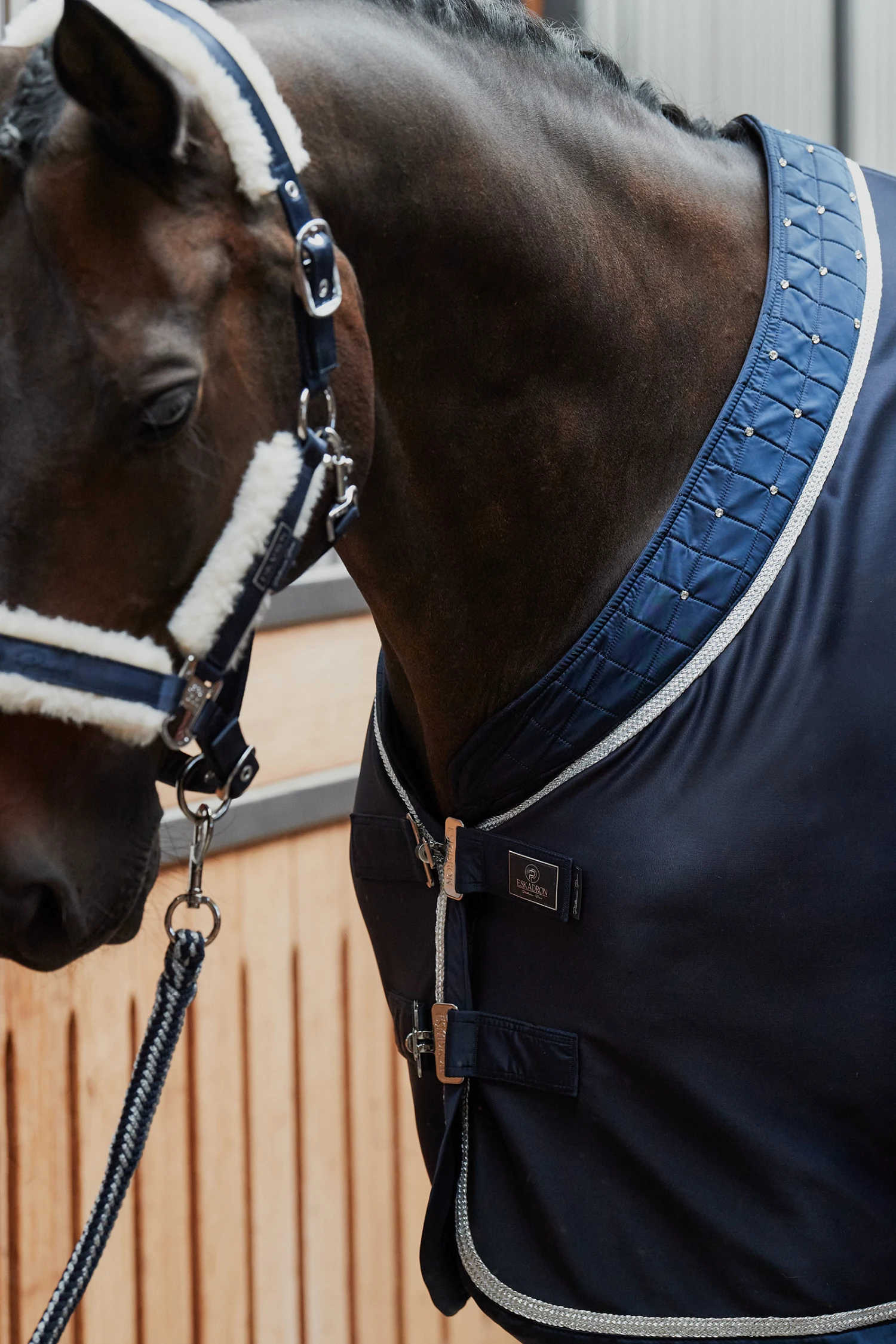 Eskadron Platinum Pure FS23 Dura Crystal Transportdecke 5 Eskadron Platinum Pure FS23 Dura Crystal Transportdecke – Bild 3