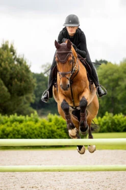 LeMieux Crystal Fliegenhaube -Pferdedecken Store Z1KR0 780 03