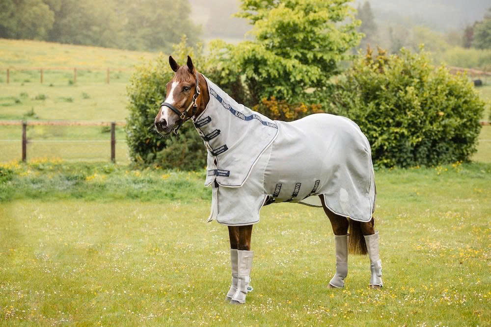 Pferdedecken Store -Pferdedecken Store z6719148619286 f0942e1c65f86c0c108afe33a1773ad3